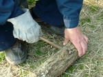 DSCF4673.jpg