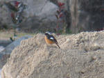 DSCN0244.jpg