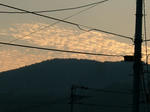 DSCF4674.jpg