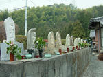 DSCF4683.jpg
