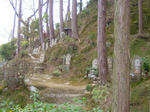 DSCF4684.jpg