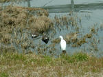 DSCF4706.jpg