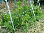 DSCF4712.jpg