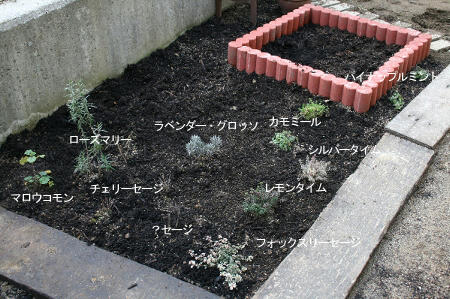 ハーブガーデンbefore