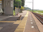 c9b71297.jpg