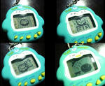 pengin2
