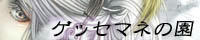 my_banner2.jpg