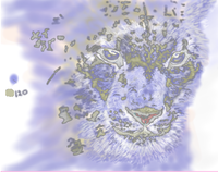 b05ace95.png