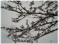 d15a56d3.JPG