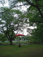45d1a67a.JPG