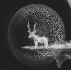 341c033a.png