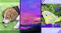 7beb489c.png