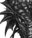 303d406e.png