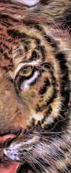 7a6f907c.png