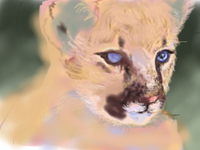 5085096a.png