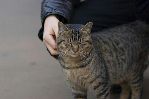 a524101f.jpg