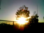 P1001126.JPG