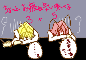 fimg_1258326945.png