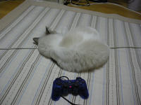 zzzzz~~~~~
