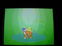 you got a RAIKOU