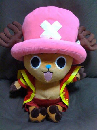 cho2.jpg
