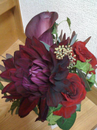 IMG_06802.jpg