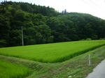 P1030592.JPG