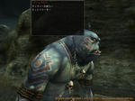 20080506_164546.jpg