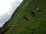 DSCF0509.jpg