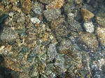 DSCF0554.jpg