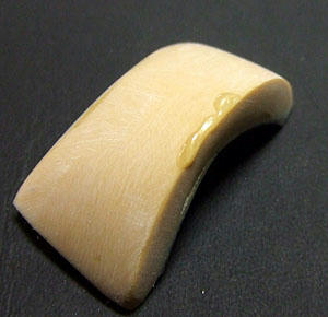 DSCF7868.JPG