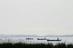658253f6.JPG