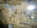 L1020405.JPG