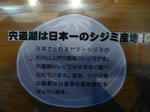sijimi111111.JPG