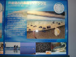 f888e588.JPG