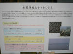8122b5f9.JPG