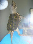 6b8ae241.JPG