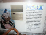 887684f0.JPG