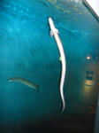 c6904201.JPG