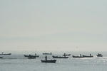 IMG_5876.jpg
