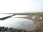 L1050008.JPG