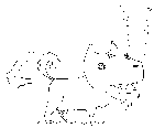 iny.gif