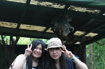 8b25a8f1.jpg