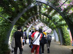 DSCN1020.jpg
