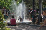 IMG_7260.jpg