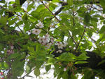 0804251.JPG