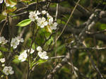 0804252.JPG