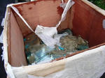 RIMG0145.JPG