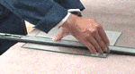 cat.gif