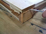 RIMG7020.JPG